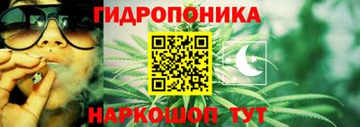 сатива Можга