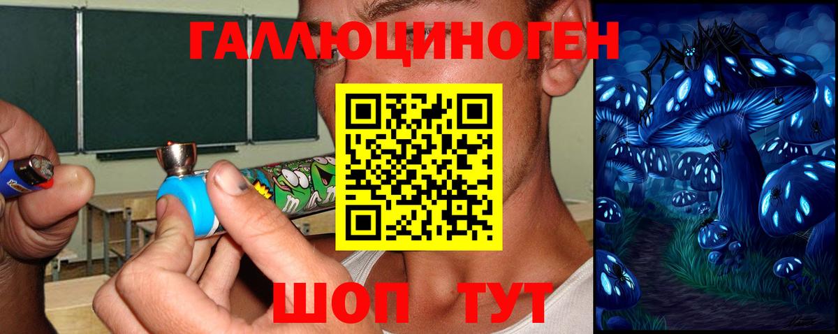 Псилоцибиновые грибы мухоморы Туапсе